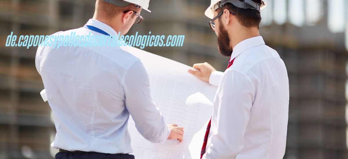 de.caponesypollosdecorralecologicos.com